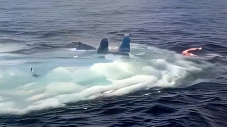 Russia Su-33 from the air wing of Admiral Kuznetsov, post crash